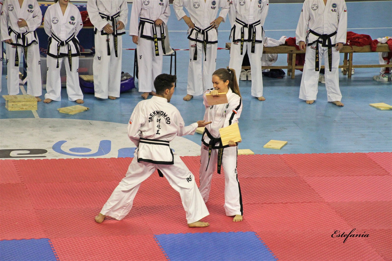 Taekwondo (221).jpg